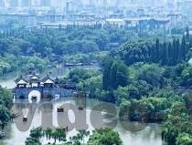 91av在线麻豆-窥探网络世界的伦理边界，一场关于91av在线麻豆的反思