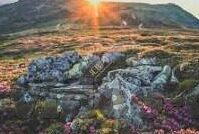 91探花麻豆-91探花事件中的网路文化与社会现象分析