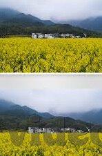 麻豆app下载安卓-麻豆APP下载与安卓系统的不解之缘