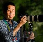 麻豆传媒高清在线播放-探索麻豆传媒高清在线播放的视界，满足视听与信息享受的新维度