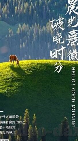 麻豆igao在线视频-麻豆Igao，创新边界与争议共舞的在线视频舞台