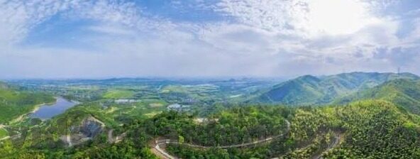 麻豆经济模特app官方-麻豆经济，模特行业的新纪元——从思维到实践的跨越