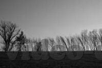 麻豆三级在线视频-以网络观看麻豆三级在线视频的风险与影响为题的探讨需要我们在阅读深入时，能以冷静客观的视角看待这一问题