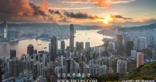 糖心官方入口-糖心官方的多元化探索，品味与创新的完美融合