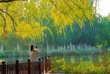 糖心vlog官网地址-糖心Vlog，探索生活真实之美的窗口